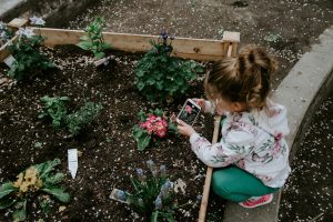 gardening for spring activities with best schools in Greenville NC